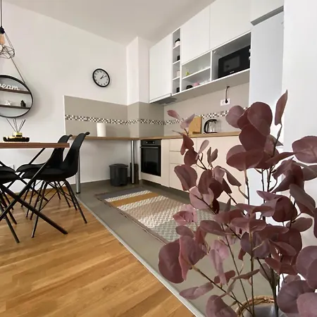 Angel Суботица