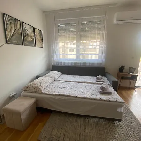 Angel Суботица